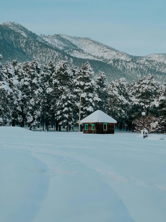 a cabin sitting in the middle of a snow covered field, by Julia Pishtar, pexels contest winner, big bear lake california, square, evergreen, panoramic