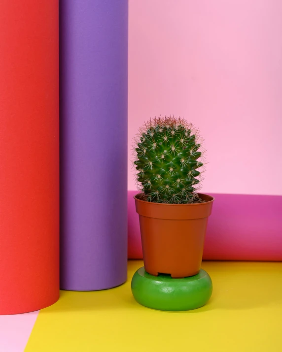 a cactus sitting on top of a potted plant, inspired by Okuda Gensō, solid colours material, product shot, mood light, random circular platforms