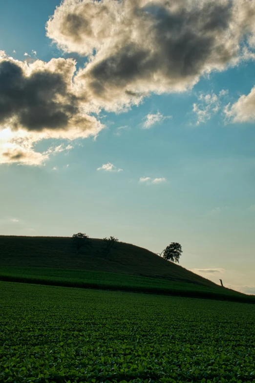 a person flying a kite on top of a lush green field, by Karl Walser, unsplash contest winner, minimalism, late summer evening, single tree, on a hill, light and clouds