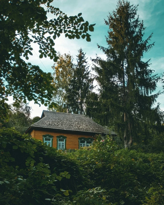 a house sitting in the middle of a lush green forest, an album cover, pexels contest winner, traditional russia, a cozy, a green, quaint