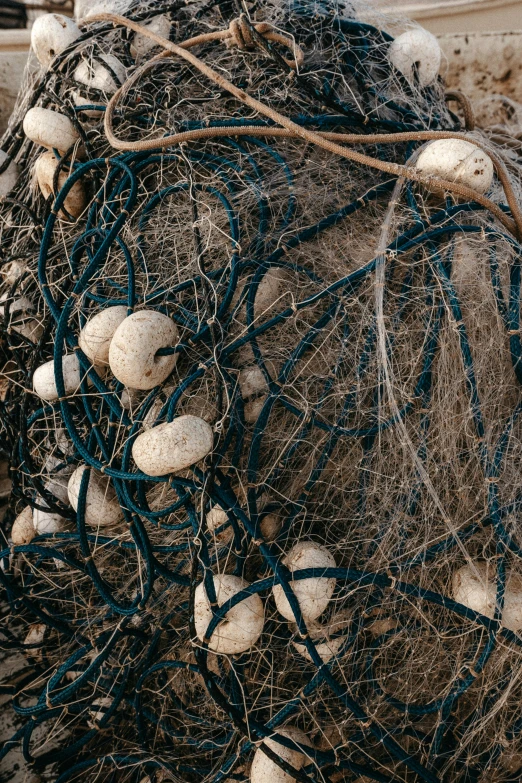 a pile of fishing nets sitting on top of a beach, by Elsa Bleda, net art, high angle close up shot, eggs, navy, slide show