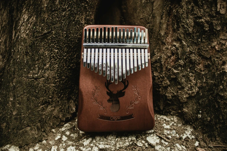 a close up of a musical instrument in a tree, an album cover, inspired by Bryan Organ, pexels contest winner, wooden casing, a horned, desaturated, twelve arms