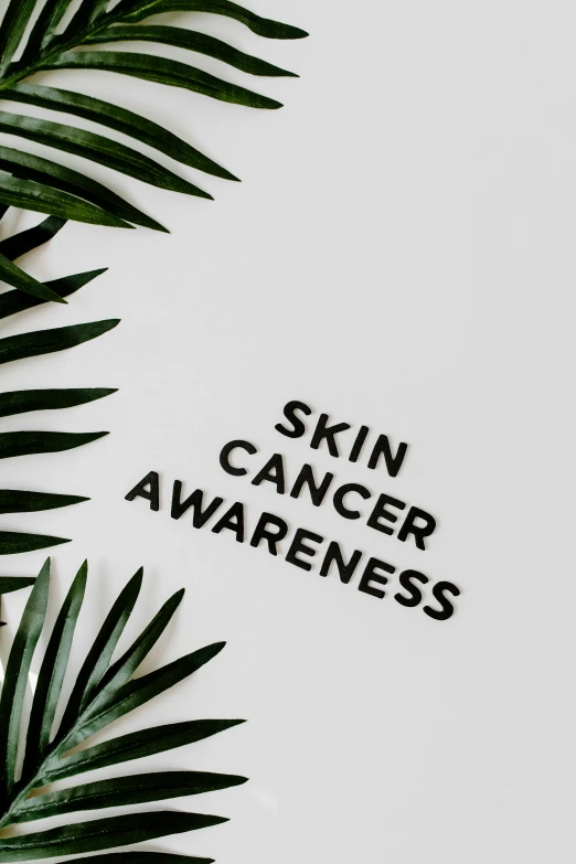 a palm leaf with the words skin cancer awareness written on it, trending on pexels, photoshoot for skincare brand, profile pic, - 12p, 8