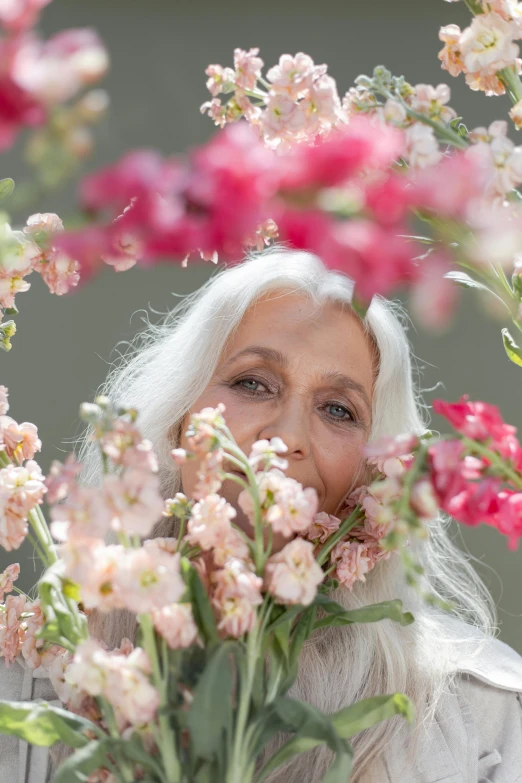 a woman holding a bunch of flowers in front of her face, an album cover, inspired by Grethe Jürgens, long grey hair, soft light 4 k in pink, elderly, zoomed in