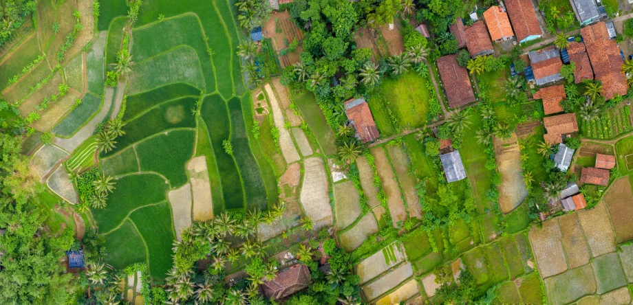 a bird's eye view of a lush green field, villages, jungle setting, no surroundings, varying locations