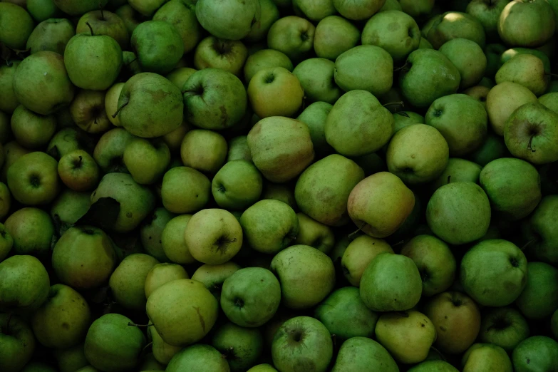 a pile of green apples sitting on top of each other, by Bertram Brooker, pexels, renaissance, square, turkey, 240p, festival