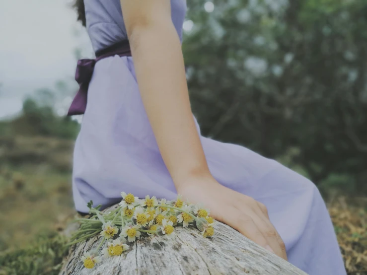 a woman in a purple dress sitting on a log, inspired by Arthur Hughes, pexels contest winner, aestheticism, holding daisy, tiny details, slightly minimal, medium close-up shot