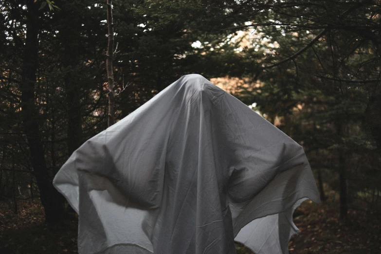 a ghost standing in the middle of a forest, an album cover, pexels contest winner, white cloth, grey, covered head, halloween