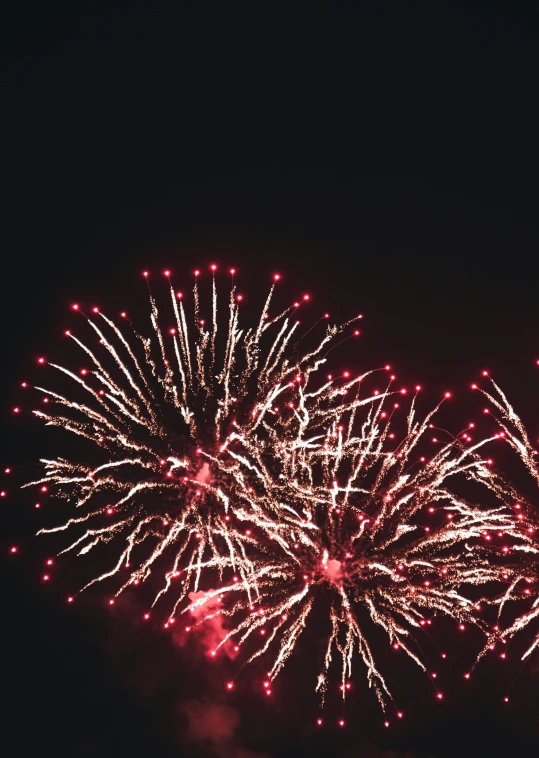 a couple of fireworks that are in the sky, pexels, 2 5 6 x 2 5 6 pixels, dynamic closeup, dark. no text, flowers