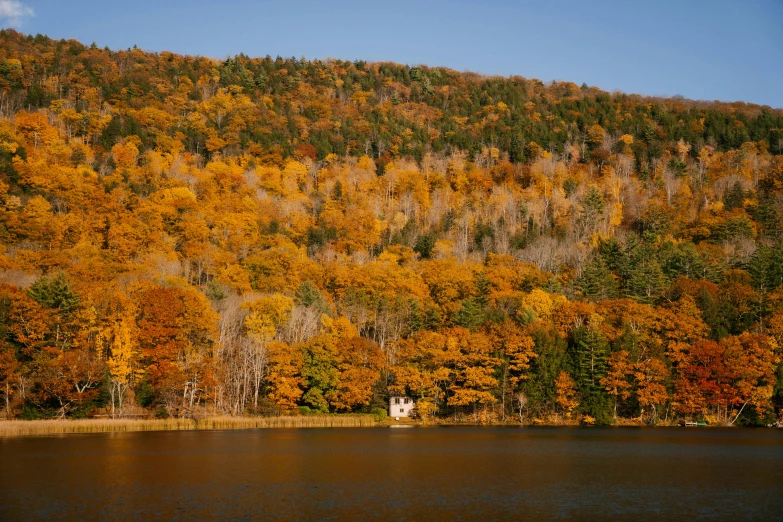 a house in the middle of a lake surrounded by trees, pexels contest winner, hudson river school, shades of gold display naturally, medium format color photography, maple syrup sea, white