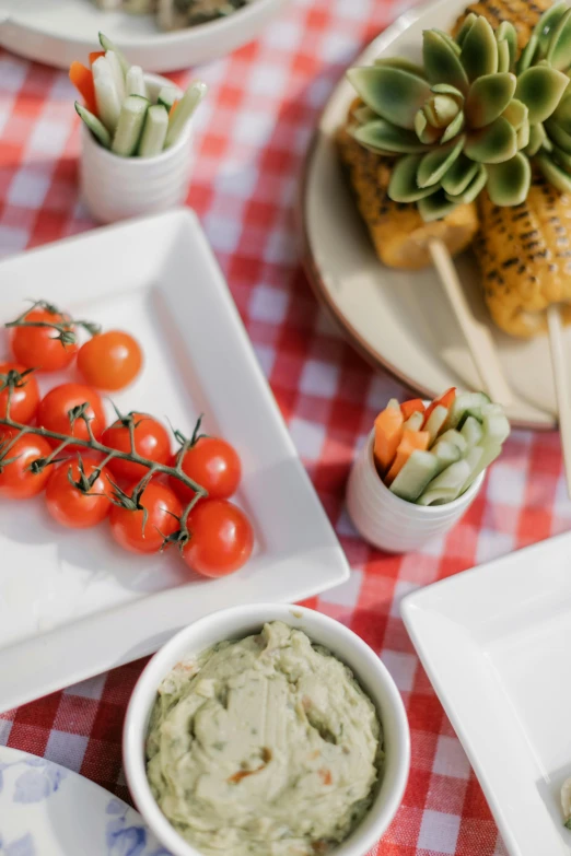 a table topped with plates of food on top of a red and white checkered table cloth, avocado and cheddar, garden setting, humus, 5 k