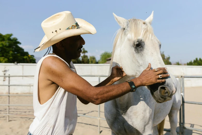 a man in a cowboy hat petting a white horse, pexels contest winner, nubian, asya yoranova and alan lee, slightly muscular, california;