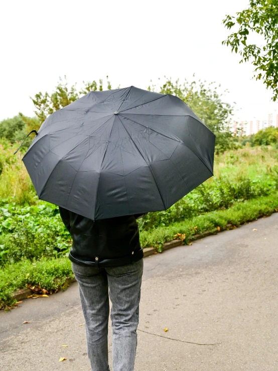 a person walking down a road holding an umbrella, by Helen Stevenson, temporary art, black matte finish, covered, large tail, highly upvoted