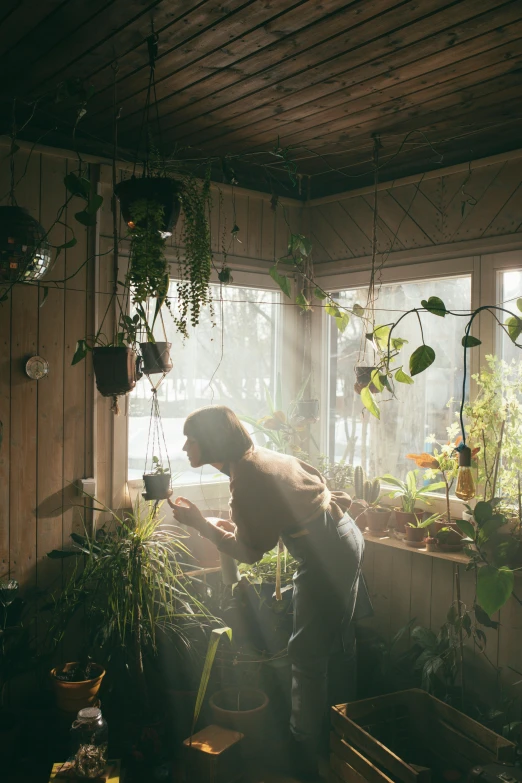 a man standing in a room filled with potted plants, inspired by Elsa Bleda, unsplash contest winner, cold sunshine through window, panoramic view of girl, play of light, shot with sony alpha