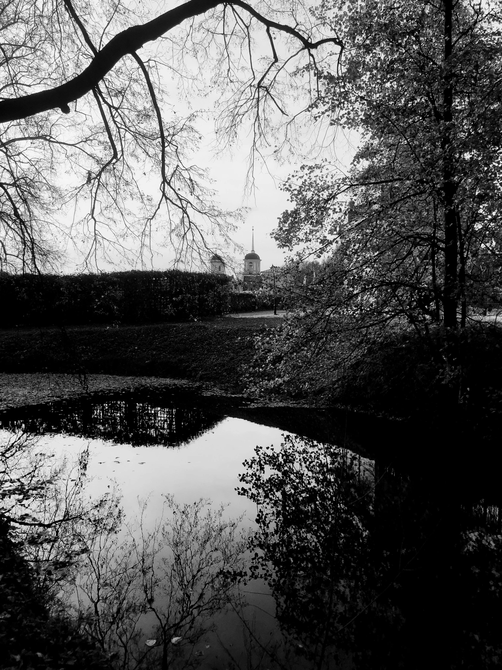 a black and white photo of a pond surrounded by trees, by Andrew Bell, land art, with castle in distance, reflect photograph, tri - x pan stock, 1981 photograph