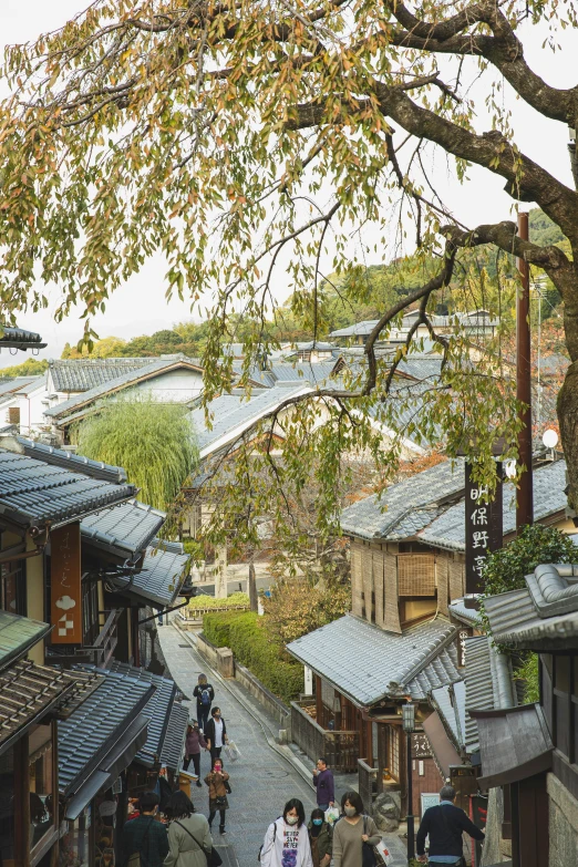 a group of people walking down a narrow street, mingei, tiled roofs, overlooking a valley with trees, autumnal, white