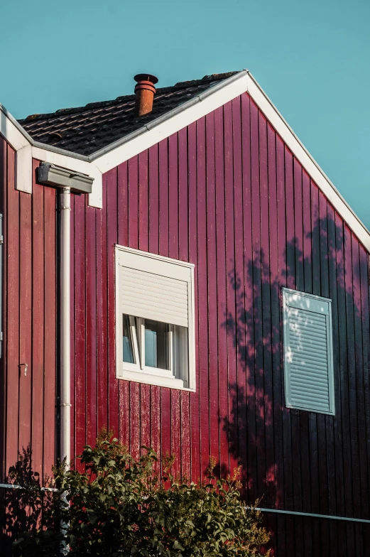 a red house with a tree in front of it, a picture, pexels contest winner, modernism, wooden house, maroon, sideview, colorful high contrast