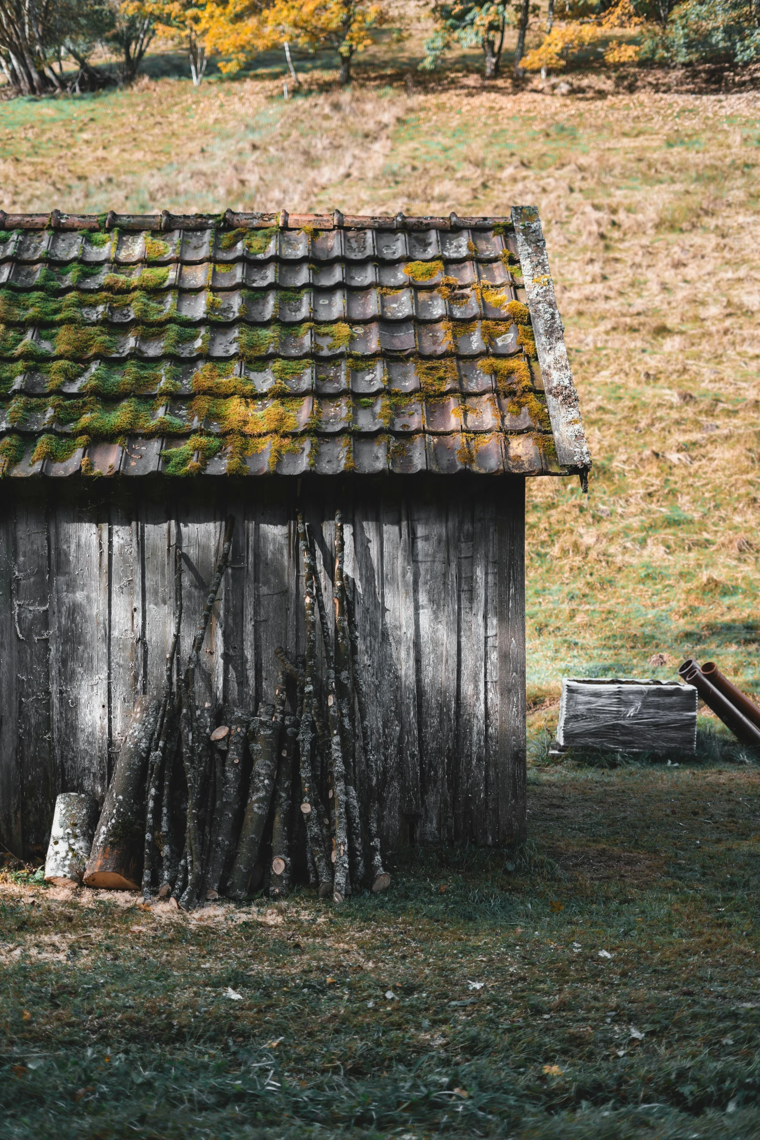 a small shed with moss growing on the roof, pexels contest winner, renaissance, wooden logs, but minimalist, farm, vintage photo
