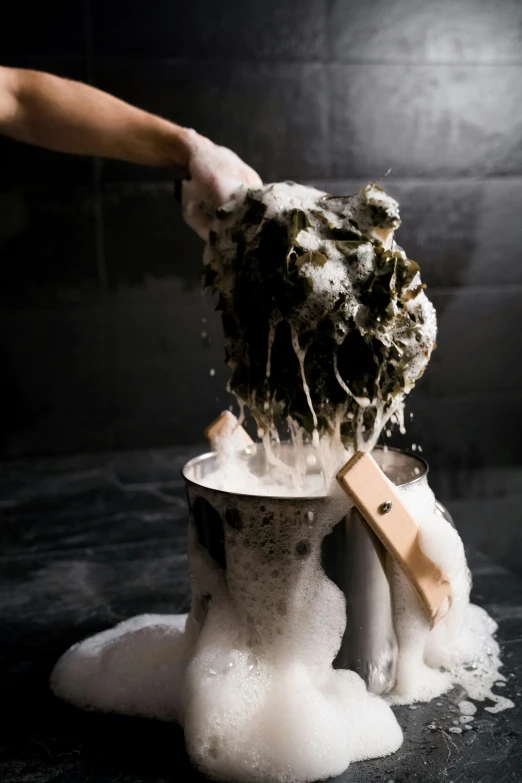 a person washing a dog with a wooden brush, by Adriaen Hanneman, unsplash, process art, made of mushrooms, oozing black goo, mortar and pestle, dry ice