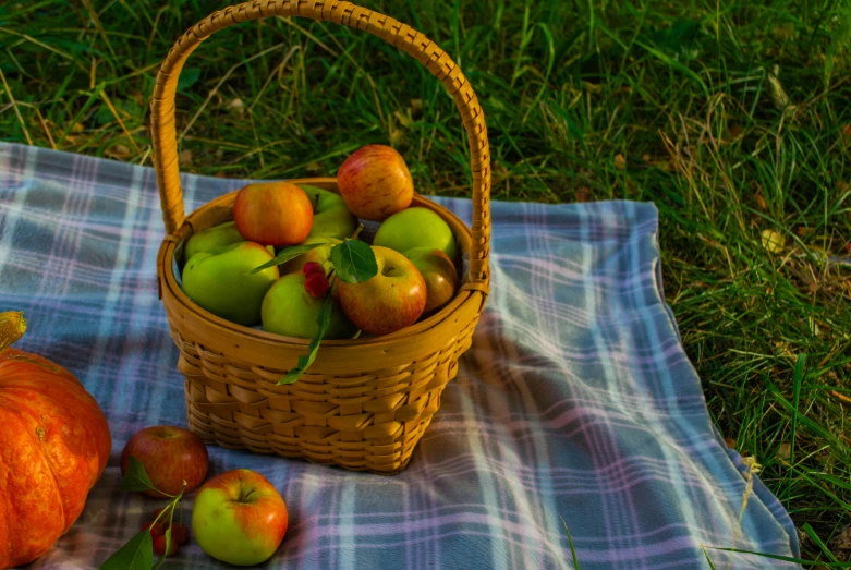 a basket of apples sitting on top of a plaid blanket, pexels contest winner, renaissance, lawn, square, tourist photo, 4 0 9 6