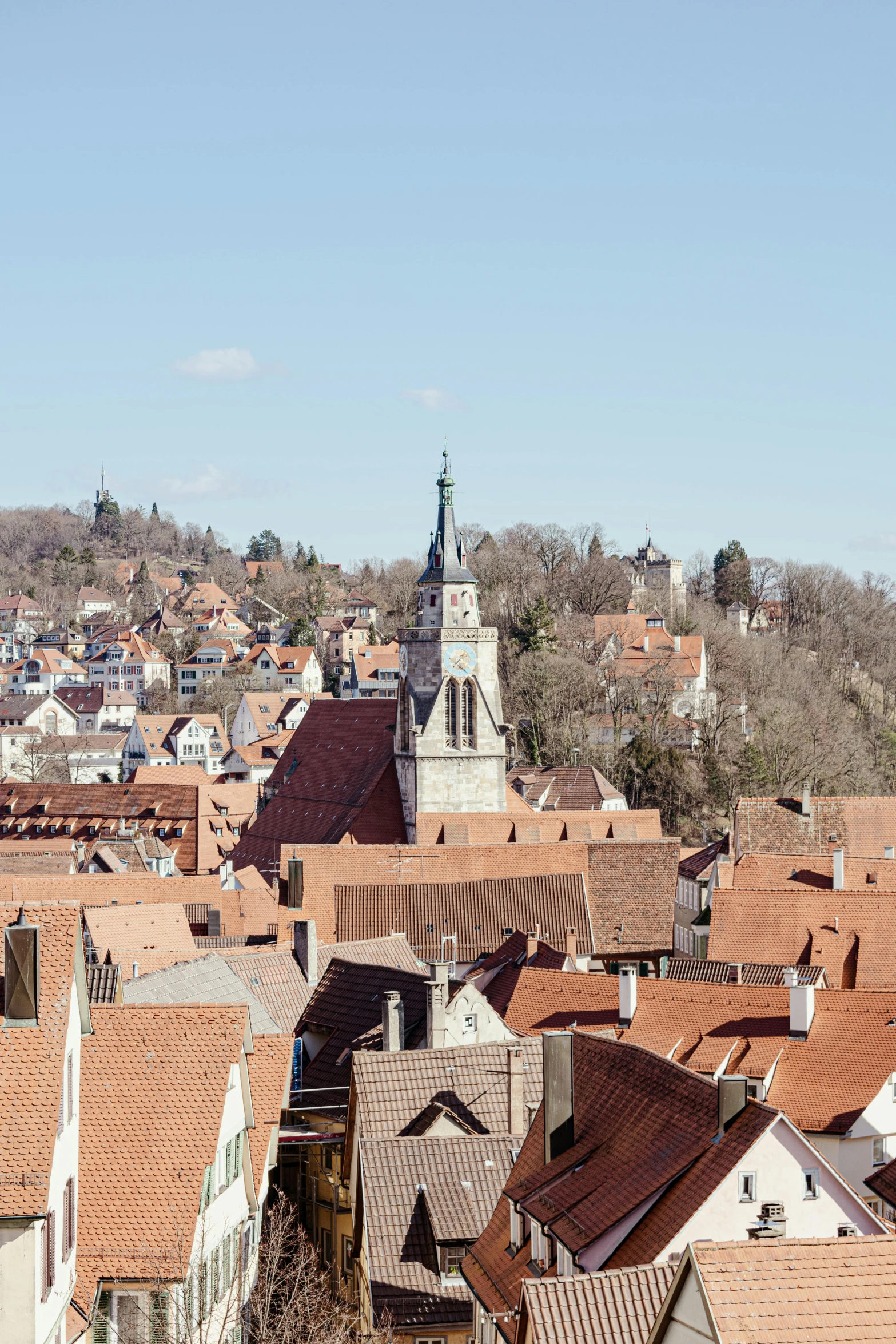 a view of a town from the top of a hill, an album cover, by Tobias Stimmer, pexels contest winner, renaissance, white buildings with red roofs, germany. wide shot, square, maroon