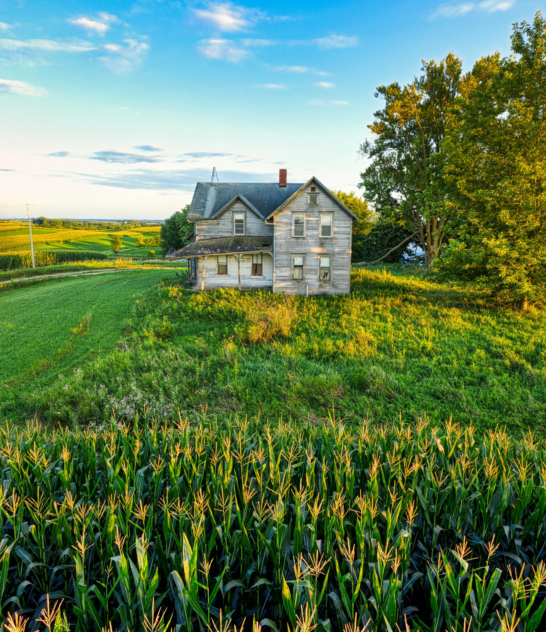 an old farm house in the middle of a corn field, pexels contest winner, minn, getty images proshot, fan favorite, vibrant greenery outside