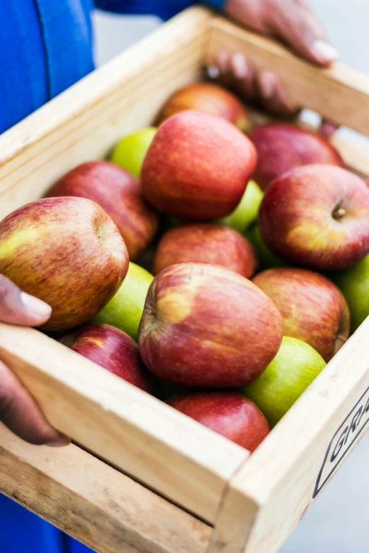 a person holding a crate full of apples, upclose, rectangle, product shot, colour photograph