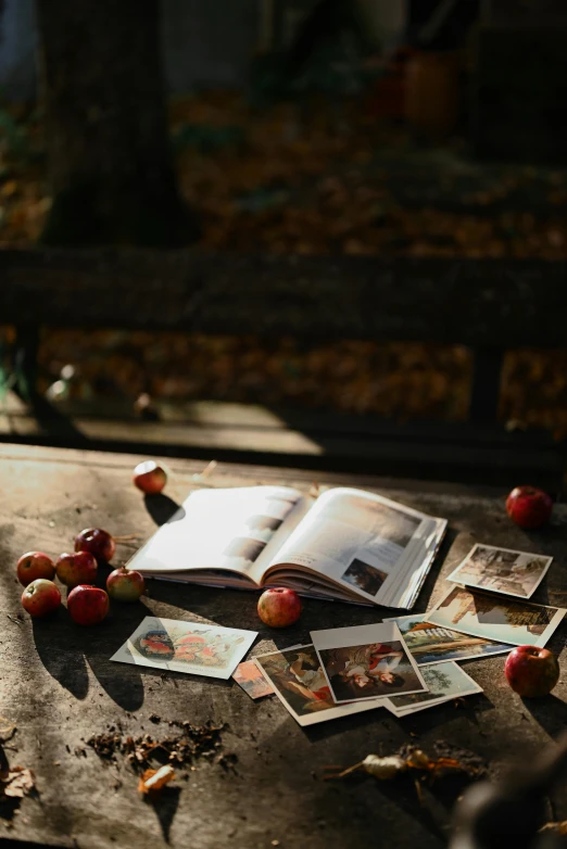 an open book sitting on top of a table, a polaroid photo, picking apples from a tree, photo session, in fall, ilustration