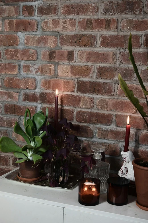 a table topped with potted plants next to a brick wall, a still life, unsplash, romanticism, lit candles, dwell, detail shot, crimson themed