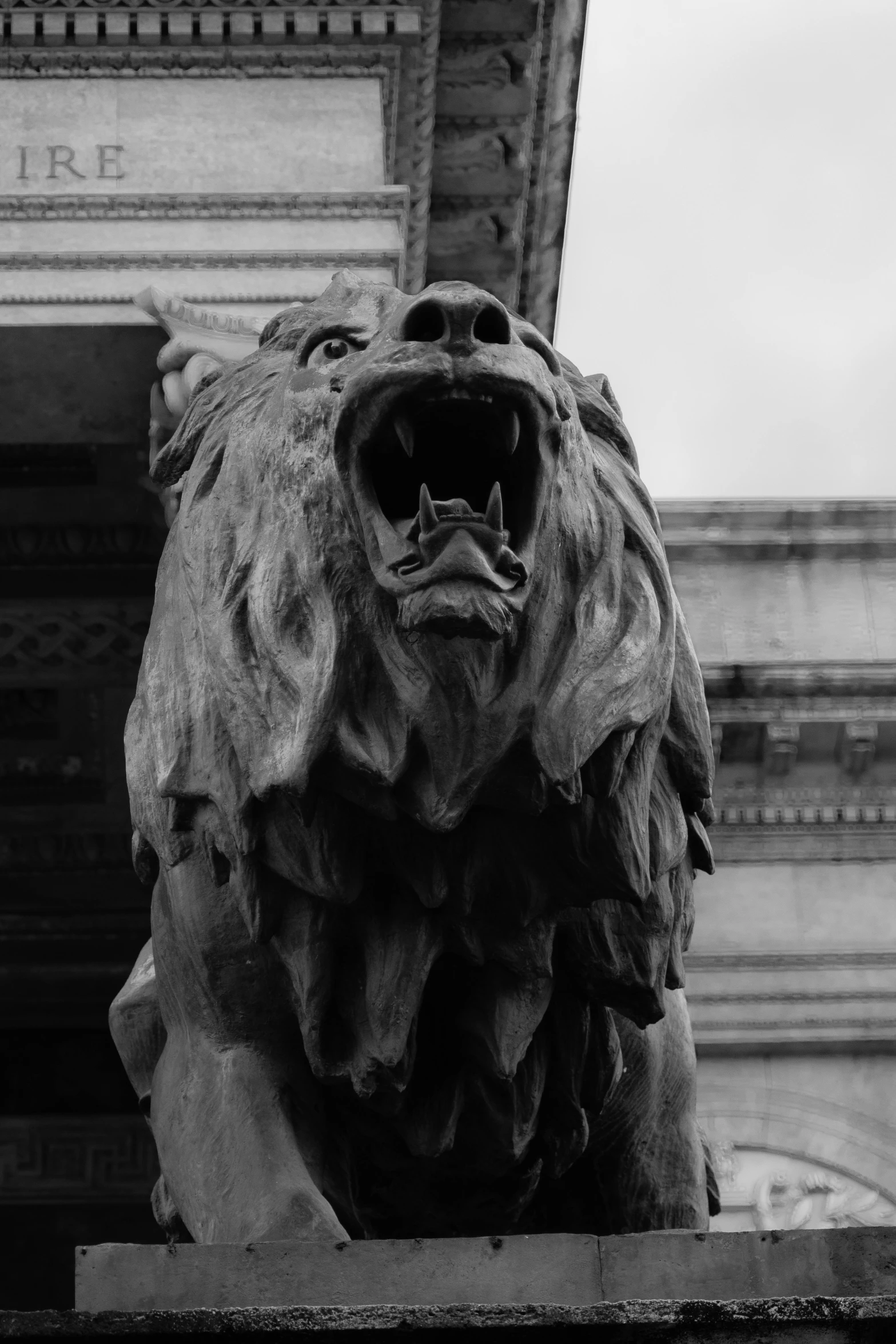 a black and white photo of a lion statue, by Daniel Seghers, pexels contest winner, mouth open in a terrifying roar, on a great neoclassical square, head of a bear, g cgsociety