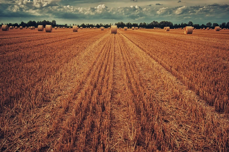 hay bales in a field under a cloudy sky, by Artur Tarnowski, unsplash, land art, 70s photo, saturated colorized, brown stubble, rows of lush crops