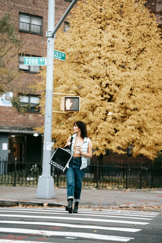 a woman crossing the street at an intersection, an album cover, by Nina Hamnett, happening, in fall, carrying a guitar, ny, a park