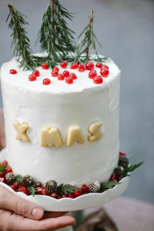 a close up of a person holding a cake, pine, white, rear-shot, tall