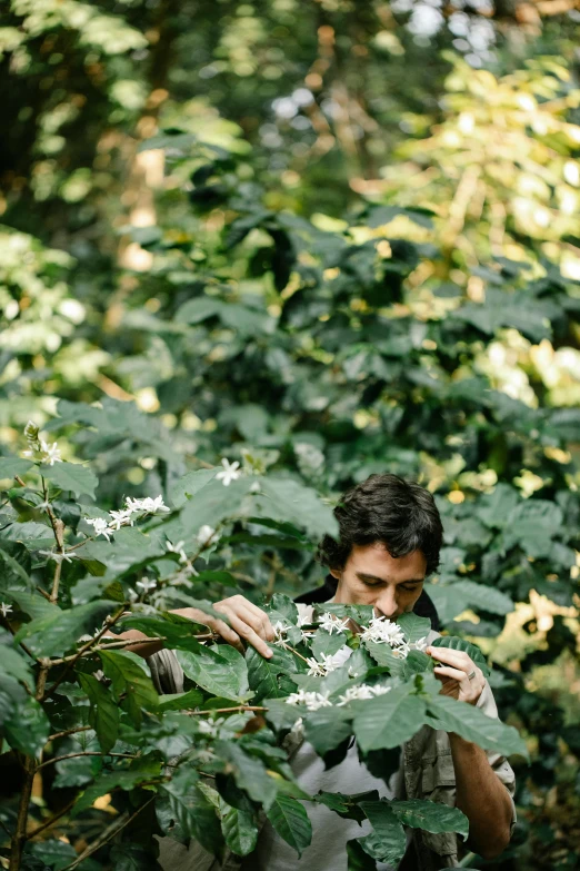 a man standing in the middle of a forest, amongst coffee beans and flowers, smelling good, jungle vines, joe keery