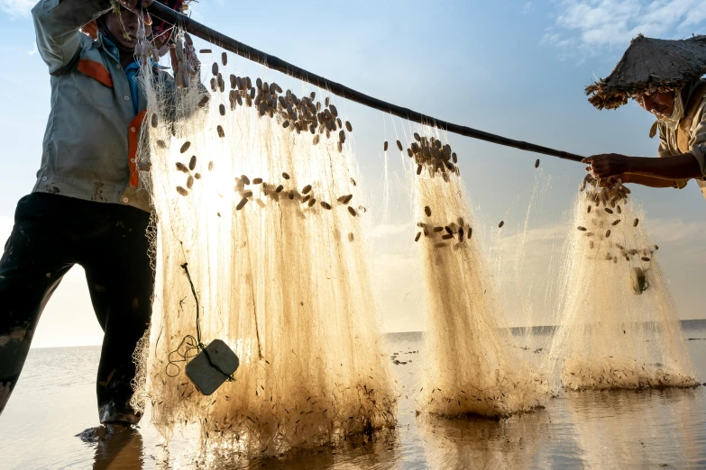 a couple of men standing on top of a beach, net art, shrimps are all over the ground, national geographic photo award, spores floating in the air, thumbnail