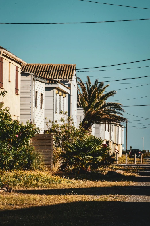 a couple of houses sitting on the side of a road, unsplash, dried palmtrees, sunny day time, french village exterior, near the seashore