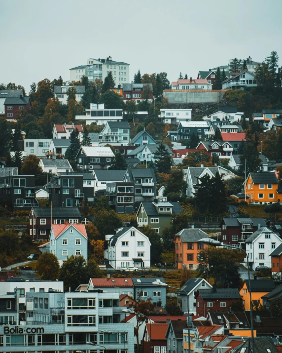 a group of houses sitting on top of a hill, by Roar Kjernstad, trending on unsplash, city of pristine colors, vibrant but dreary, hill with trees, grey