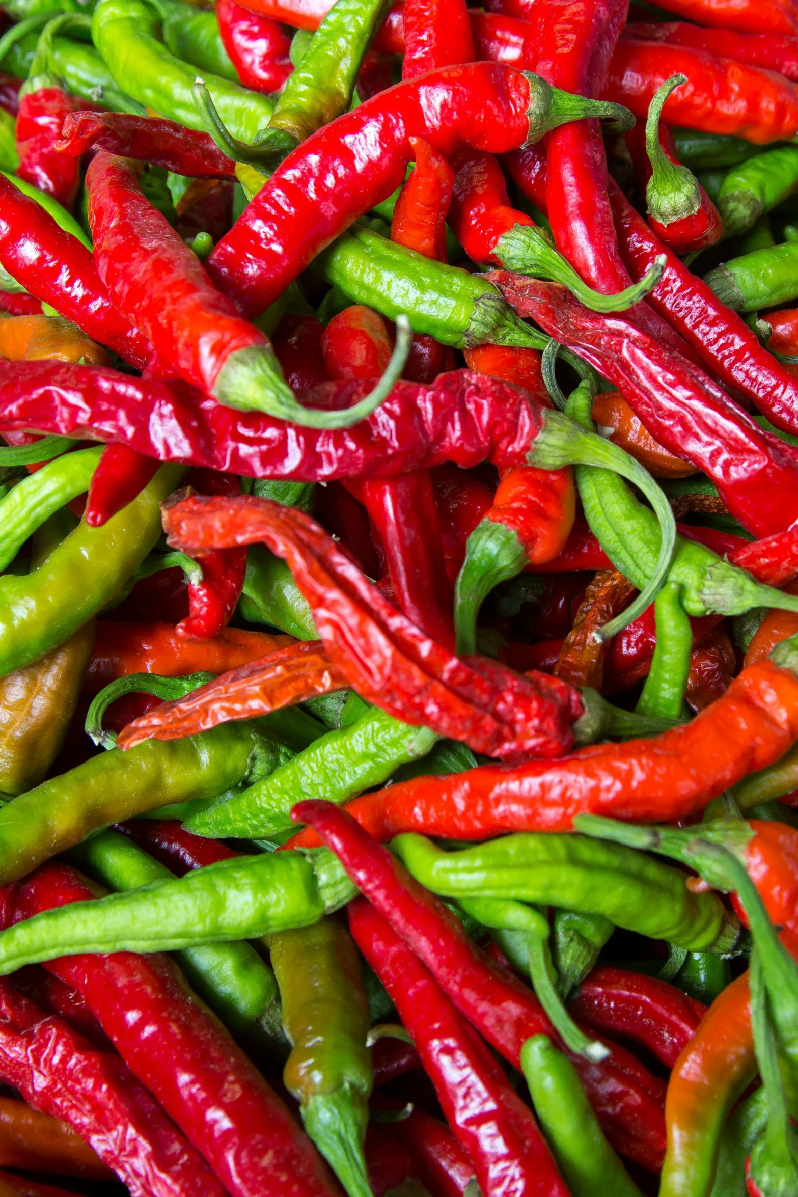 a pile of red and green chili peppers, renaissance, 'groovy', subtle detailing, chinese heritage, multiple colors