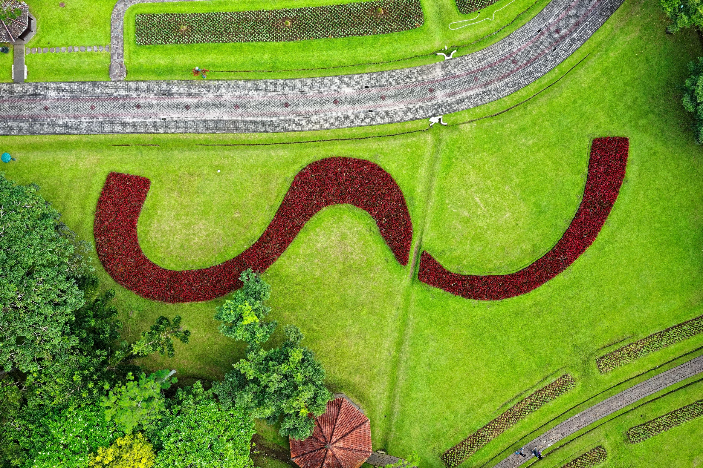 an aerial view of a lush green field, by Jan Rustem, pexels contest winner, land art, singapore esplanade, red and magenta flowers, snake art, question marks