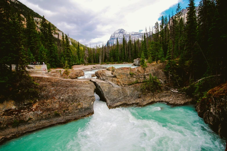 a river flowing through a lush green forest filled with trees, an album cover, pexels contest winner, banff national park, whirlpool, dessert, sandfalls