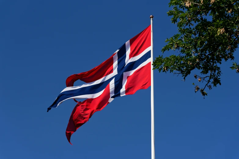 a red, white and blue flag flying next to a tree, a picture, by Jesper Knudsen, unsplash, hurufiyya, square, norwegian, blue sky, 15081959 21121991 01012000 4k
