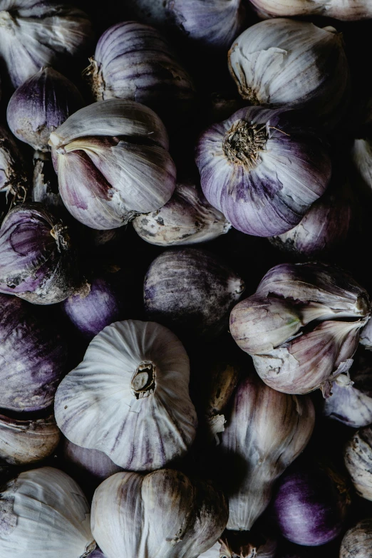 a bunch of garlic sitting on top of a table, a portrait, by Carey Morris, pexels, renaissance, ((purple)), 1 6 x 1 6, stacked image, dark