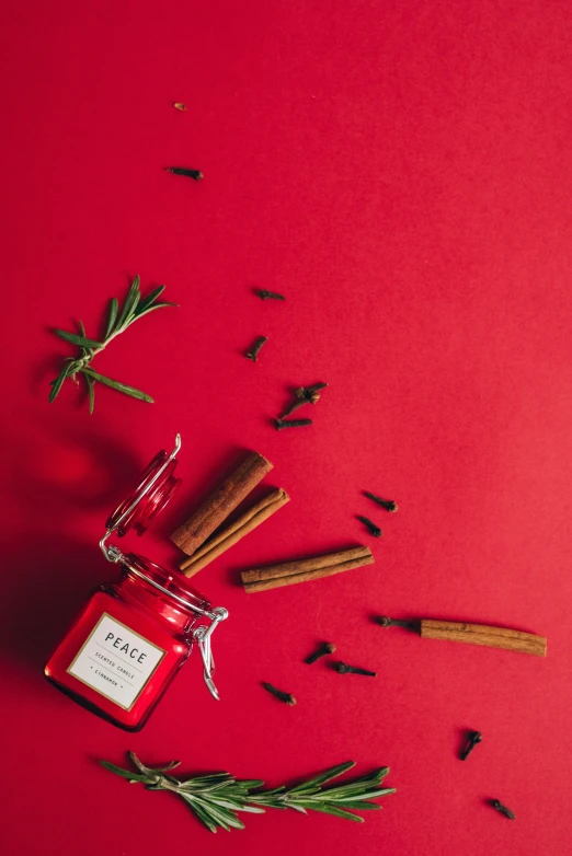 a jar of cinnamon and rosemary on a red background, by Julia Pishtar, pexels contest winner, renaissance, knolling, peace, detail shot, full face