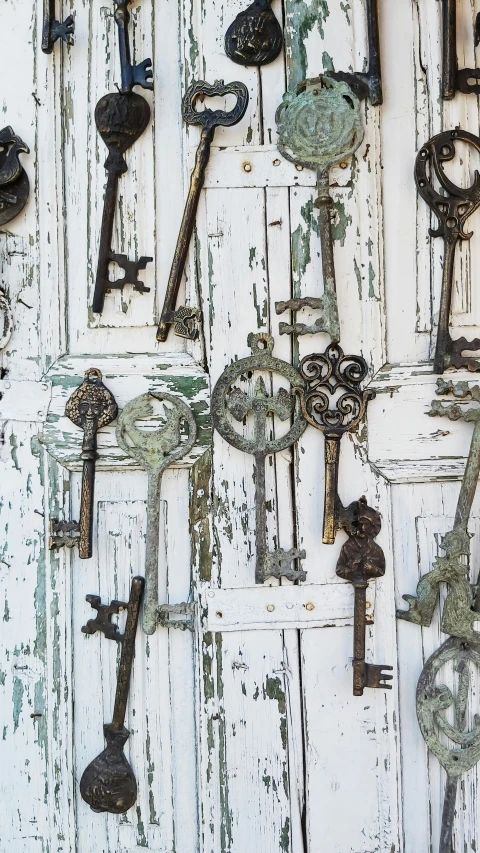 a bunch of old keys hanging on a wall, by Julian Allen, decorative panels, white metal, doorways, medium close up