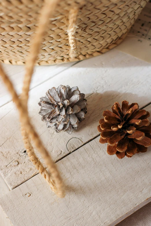 a couple of pine cones sitting on top of a table, folk art, neutral colours, collection product, detail shot, worn