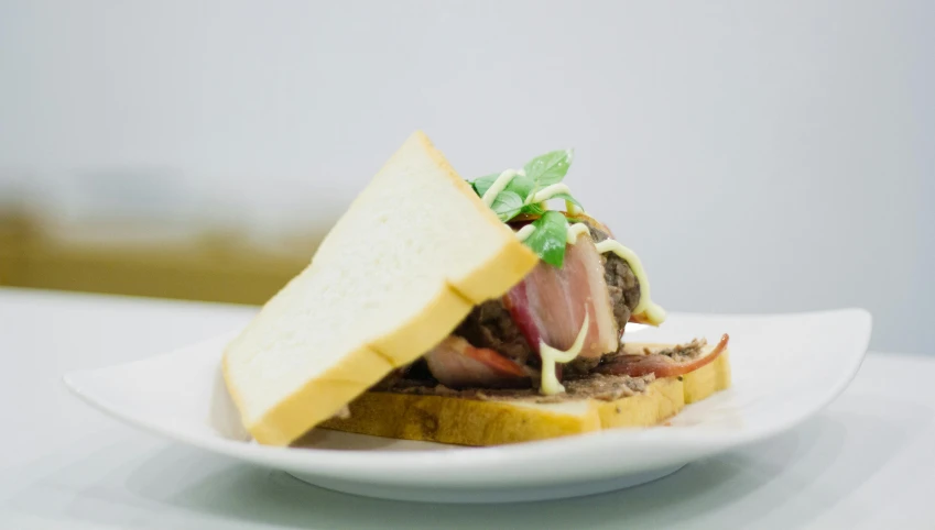 a sandwich sitting on top of a white plate, by Joe Bowler, square, bulli, longque chen, blurred