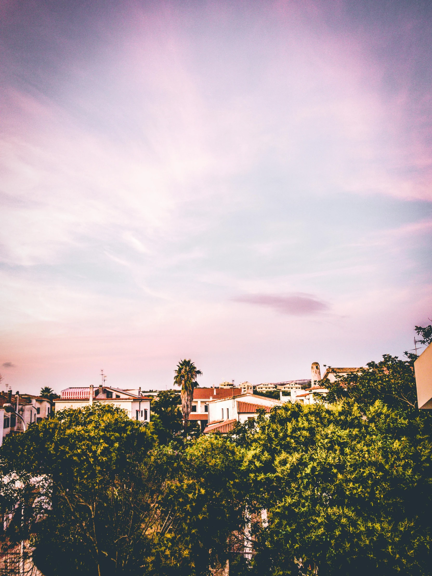 a street sign sitting on the side of a road, a picture, by Kristian Zahrtmann, unsplash contest winner, skyline view from a rooftop, marbella, pink trees, humid evening