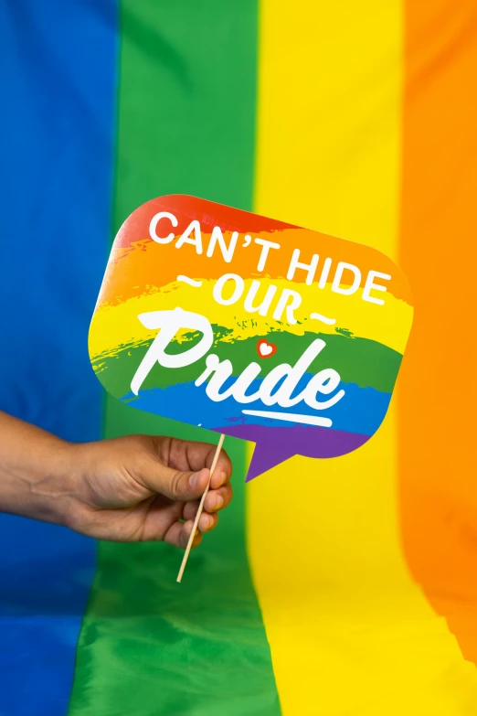 a person holding a sign that says can't hide our pride, a picture, shutterstock, pr shoot, julian ope, stickers, contain
