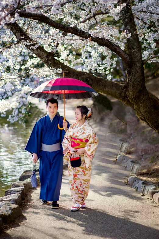 a couple of people that are standing under a tree, inspired by Kanō Shōsenin, unsplash, wearing aristocrat robe, huge blossoms, walking towards camera, floating robes