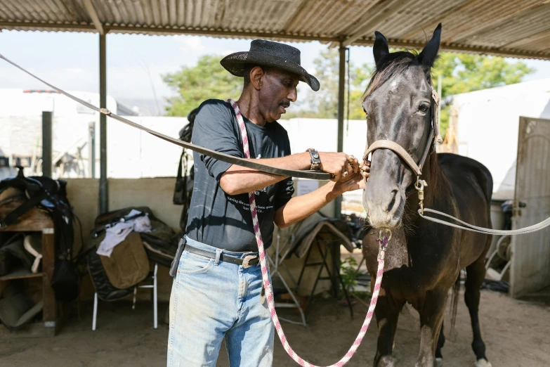 a man that is standing next to a horse, carefully crafted, mulato, profile image, thumbnail